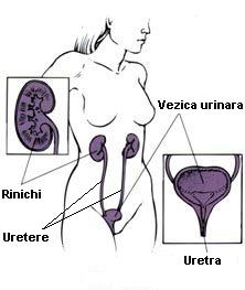 Fumatul si simptomele de la nivelul tractului urinar inferior